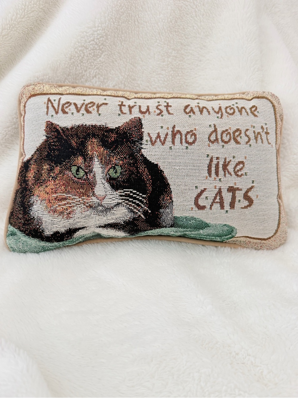 2000s Tapestry Cat Accent Pillow "Never Trust Anyone Who Doesn't Like Cats"